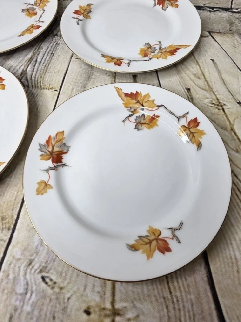 4 Craftsman Golden Autumn 6.5